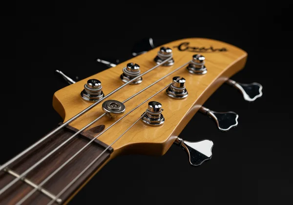 Close-up of a 5-string bass headstock and fretboard
