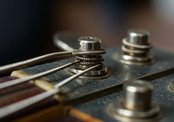 Close-up of a bass guitar's worn tuning machine and string.